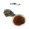 Mineral Pitch / Shilajit (1 kg)