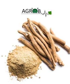 Ashwagandha Exract (1 kg)