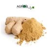 Ginger Extract (1 kg)
