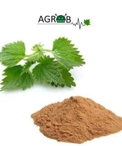 Nettle Extract (1 kg)