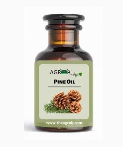 Pine Fragrance Oil (1000 ml)