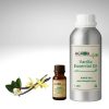 Vanilla Fragrance Oil (1000 ml)